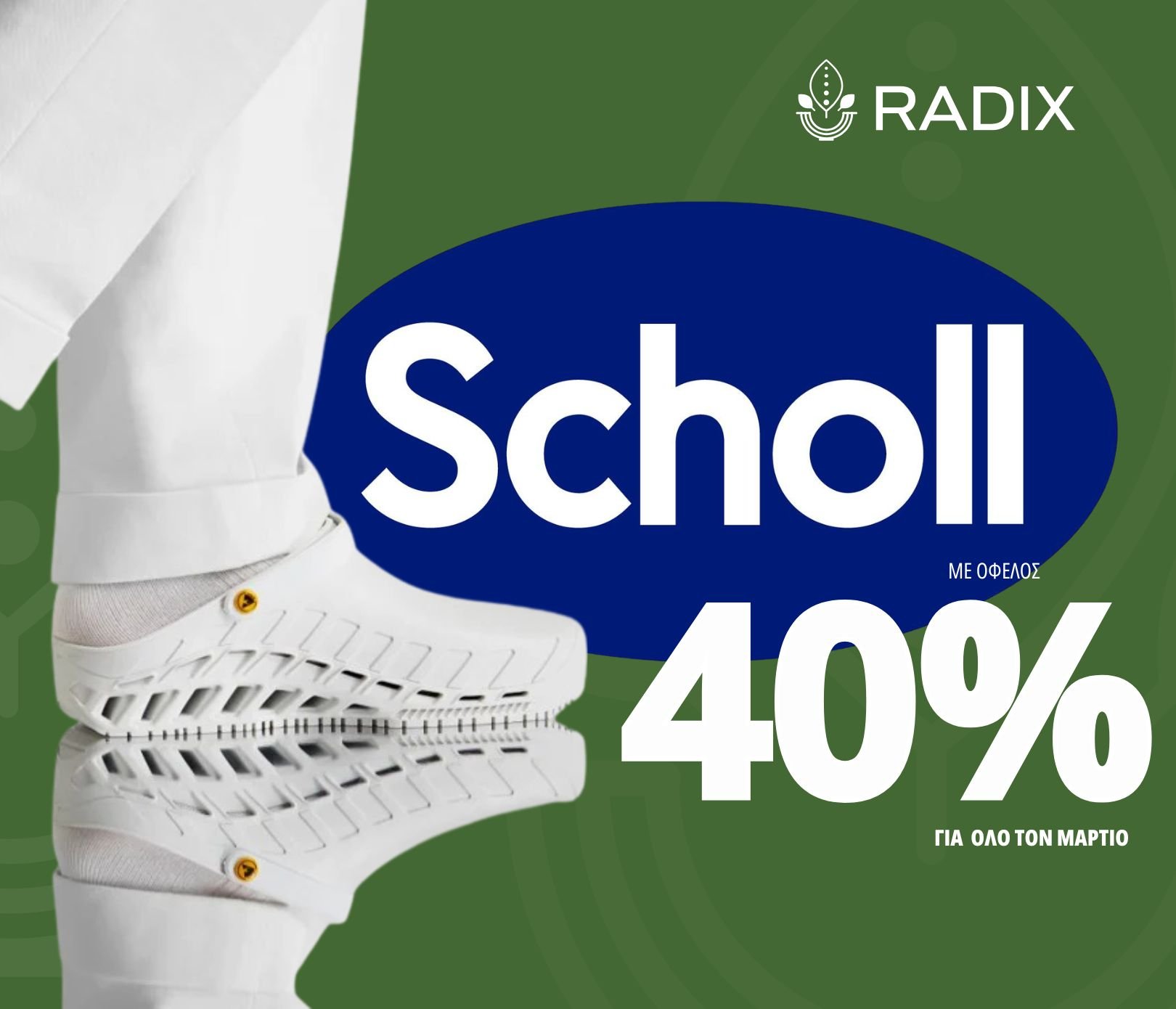 scholl