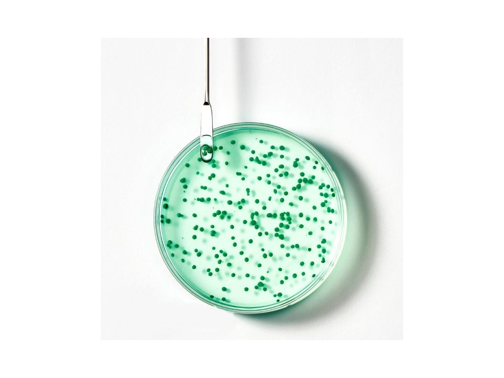 Rene Furterer Forticea Σαμπουάν Ενδυνάμωσης με Αιθέρια Έλαια, 600ml