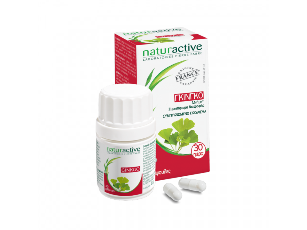 Naturactive Γκίνγκο 60 κάψουλες