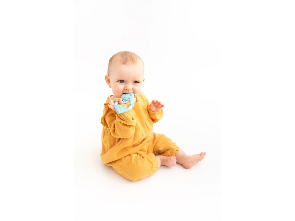 Cheeky Chompers Teething Toy Elephant, Μασητικό οδοντοφυΐας Ελέφαντας, 1τμχ