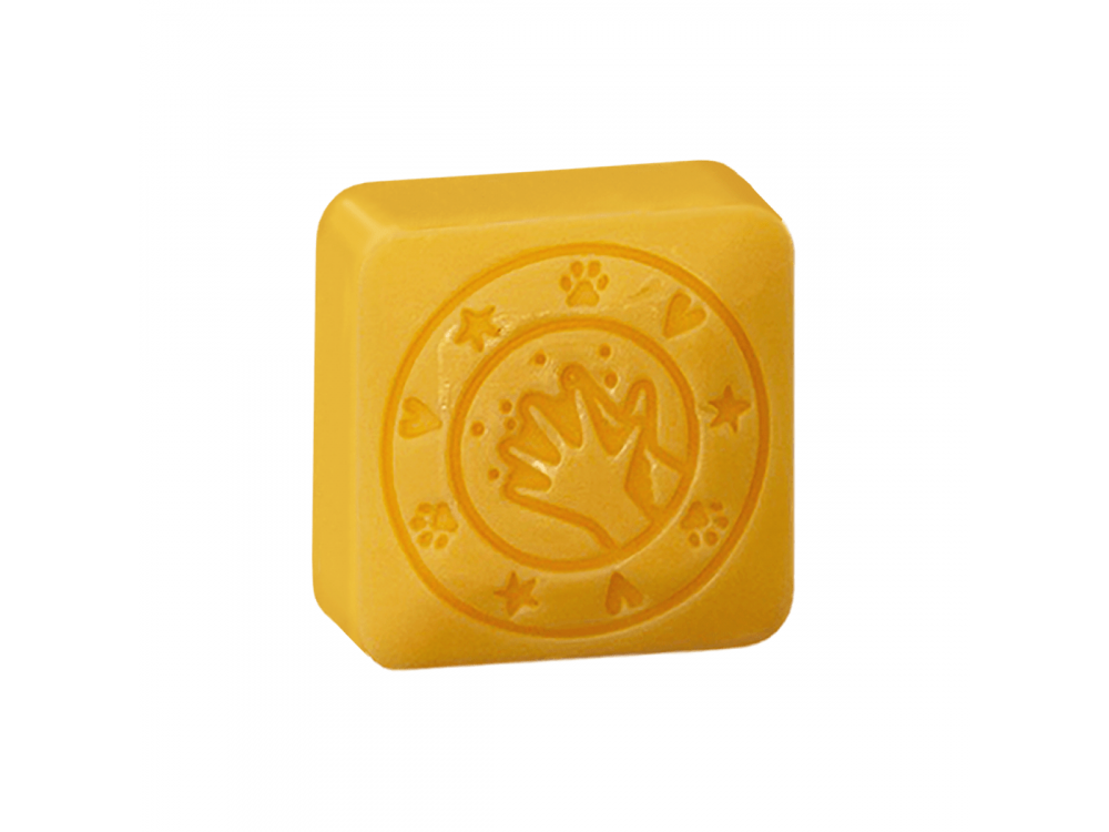 Colop Arts & Crafts Cleany Stamp Παιδική Σφραγίδα & Σαπούνι Leo, 1τμχ