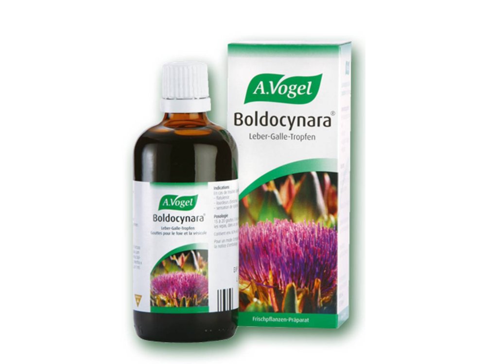 A. Vogel Boldocynara Συμπλήρωμα Διατροφής για Αποτοξίνωση & Ενίσχυση της Πέψης σε Σταγόνες, 50ml