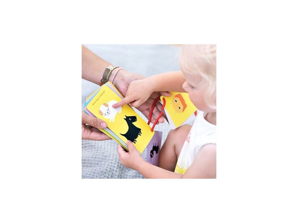 Banana Panda My First Riddles, Εκπαιδευτικές Κάρτες, 18m+