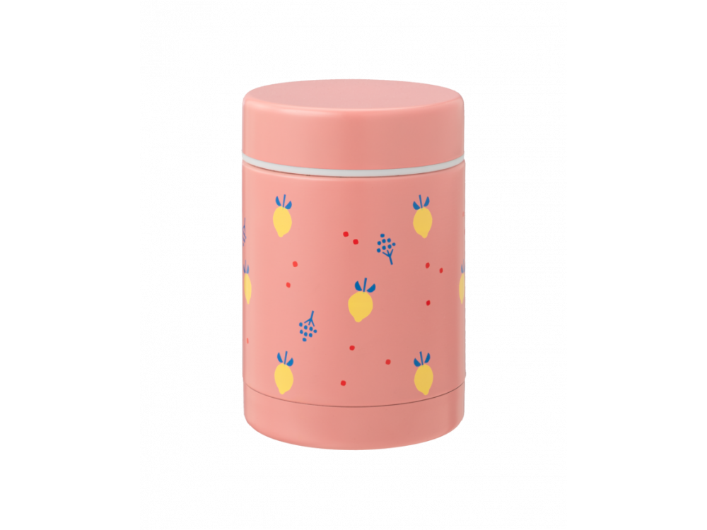 Fresk Nordic Citrus Fruit, Θερμός φαγητού με διπλό τοίχωμα από ανοξείδωτο ατσάλι, 300ml