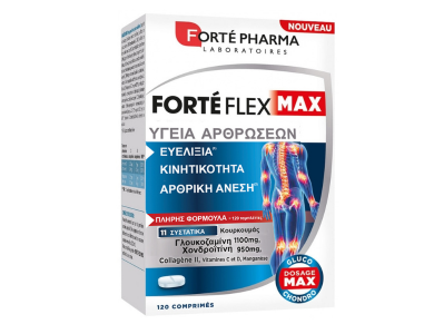 Forte Pharma Forte Flex Max Articulations, 120caps