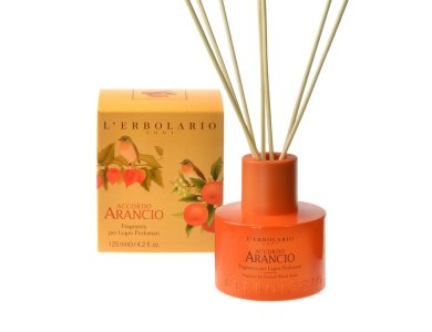 L'erbolario Accordo Arancio Αρωματικό Χώρου με Ξύλινα Στικς 125ml