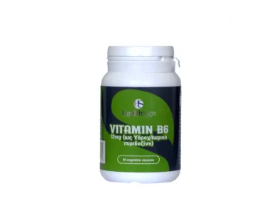 Health Sign Vitamin B6 12mg Συμπλήρωμα Διατροφής για Τόνωση & Ενέργεια του Οργανισμού 60caps