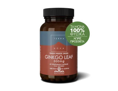 Terranova Ginkgo Leaf 500mg, Συμπλήρωμα με Τζίνγκο Μπιλόμπα για την Ενίσχυση της Μνήμης, 50caps