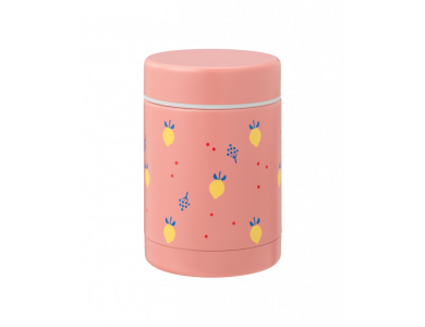 Fresk Nordic Citrus Fruit, Θερμός φαγητού με διπλό τοίχωμα από ανοξείδωτο ατσάλι, 300ml